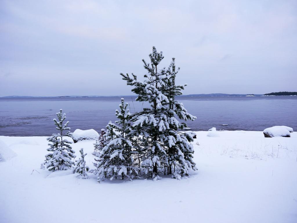 Kolinkylä Pielislinna מראה חיצוני תמונה