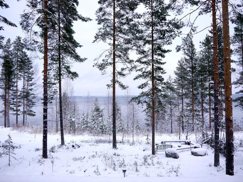 Kolinkylä Pielislinna מראה חיצוני תמונה